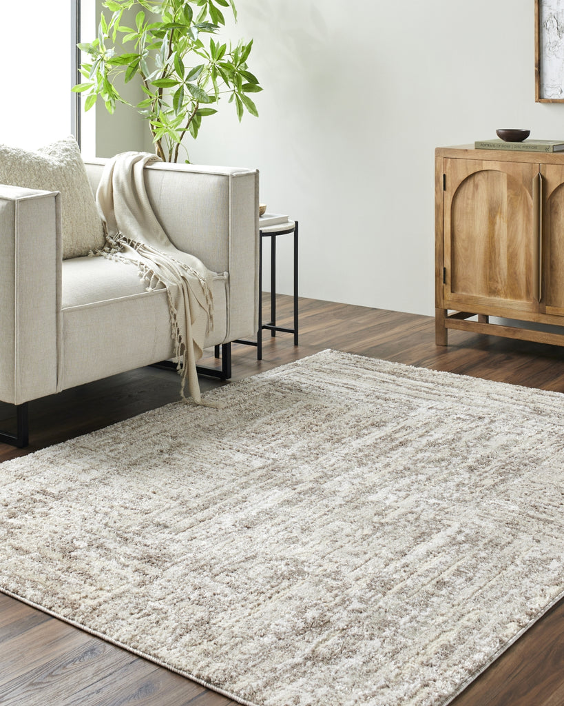 Livabliss Andorra Plus ARP-2303 Light Silver Area Rug