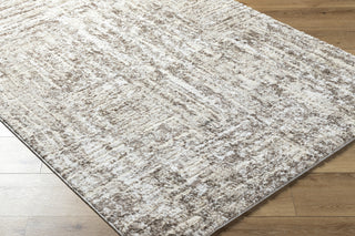 Livabliss Andorra Plus ARP-2303 Light Silver Area Rug