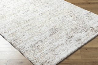 Livabliss Andorra Plus ARP-2305 Light Silver Area Rug