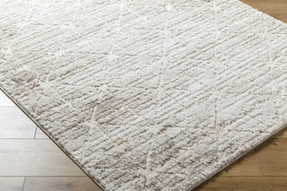 Livabliss Andorra Plus ARP-2306 Light Silver Area Rug