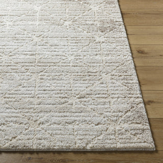 Livabliss Andorra Plus ARP-2306 Light Silver Area Rug