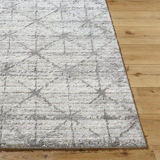 Livabliss Andorra Plus ARP-2307 Silver Area Rug