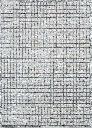 Livabliss Andorra Plus ARP-2309 Area Rug by Surya main image