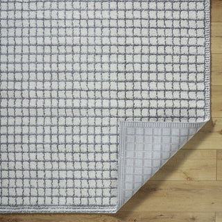 Livabliss Andorra Plus ARP-2309 Area Rug by Surya Pile