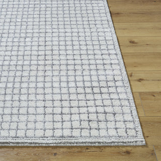 Livabliss Andorra Plus ARP-2309 Area Rug by Surya Angle