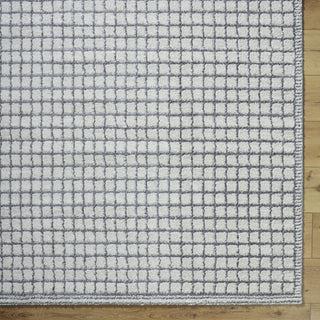 Livabliss Andorra Plus ARP-2309 Area Rug by Surya Detail