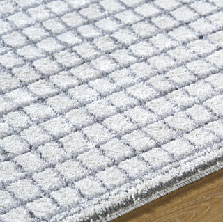 Livabliss Andorra Plus ARP-2309 Area Rug by Surya Detail