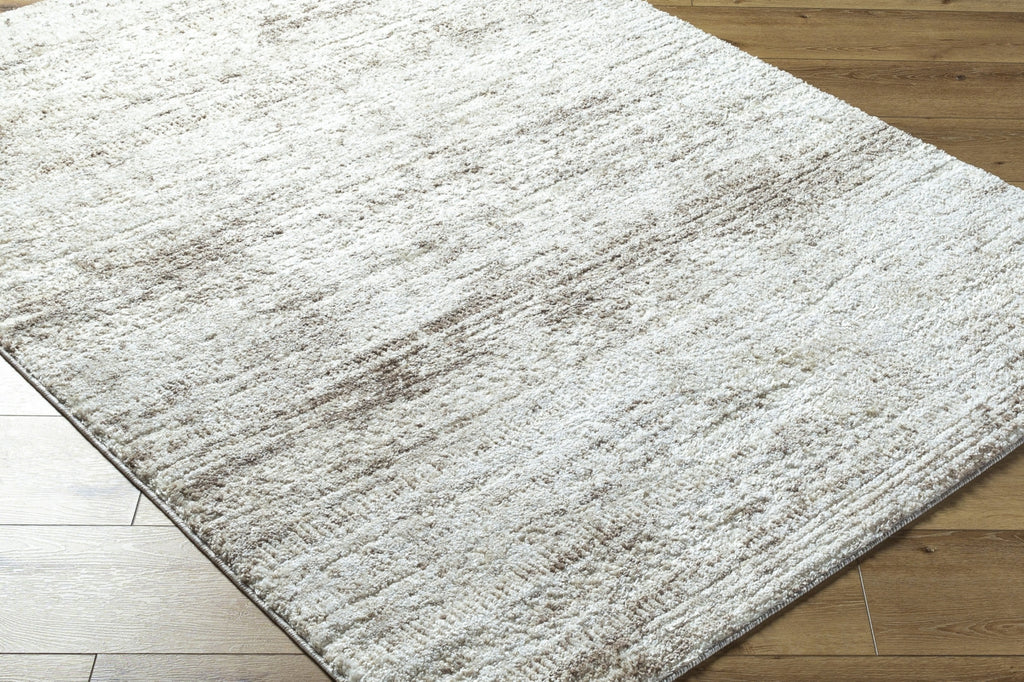 Livabliss Andorra Plus ARP-2310 Light Silver Area Rug