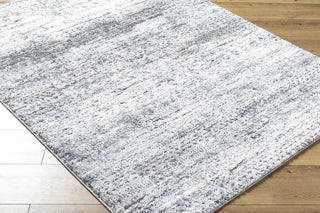 Livabliss Andorra Plus ARP-2311 Light Silver Area Rug