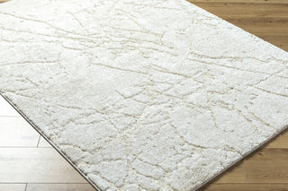 Livabliss Andorra Plus ARP-2312 Cream Area Rug