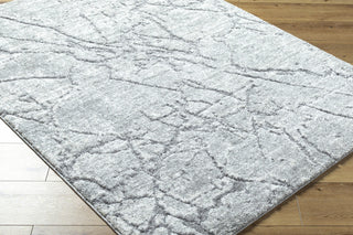 Livabliss Andorra Plus ARP-2313 Slate Area Rug