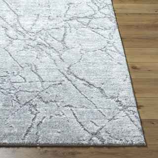 Livabliss Andorra Plus ARP-2313 Slate Area Rug