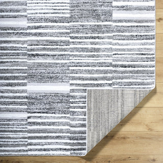 Livabliss Andorra Plus ARP-2316 Light Silver Area Rug Pile