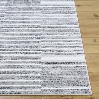 Livabliss Andorra Plus ARP-2316 Light Silver Area Rug Angle
