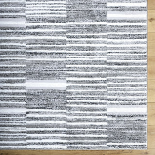 Livabliss Andorra Plus ARP-2316 Light Silver Area Rug Detail Image