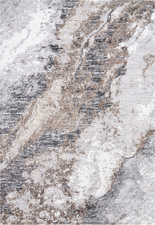 Livabliss Andorra Plus ARP-2317 Light Silver Area Rug main image