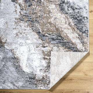 Livabliss Andorra Plus ARP-2317 Light Silver Area Rug Pile