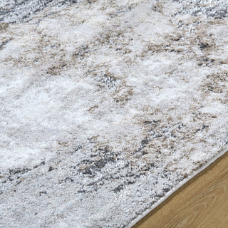 Livabliss Andorra Plus ARP-2317 Light Silver Area Rug Detail