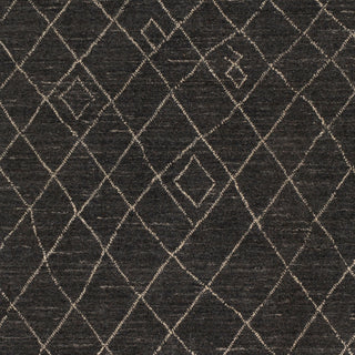 Surya Arlequin ARQ-2301 Area Rug Swatch
