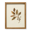 Loloi Folia Natural Wall Art main image