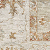 Nourison Asher ASR01 Sage Ivory Area Rug Swatch Image