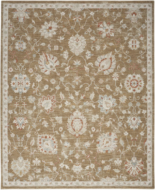 Nourison Asher ASR04 Mocha Area Rug main image
