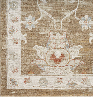 Nourison Asher ASR04 Mocha Area Rug T' R