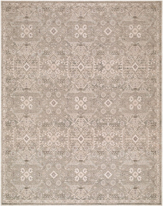 Livabliss Aston Villa ASV-2301 Area Rug main image