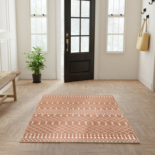 Nourison Astra Machine Washable ASW10 Copper Area Rug Swatch Image