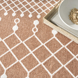 Nourison Astra Machine Washable ASW10 Copper Area Rug Texture Image