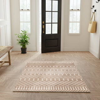 Nourison Astra Machine Washable ASW10 Taupe Area Rug Swatch Image