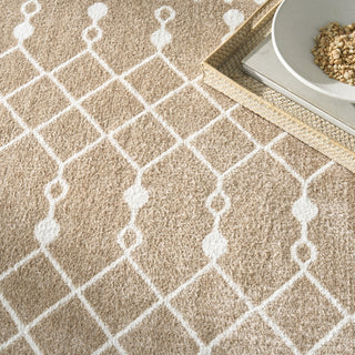 Nourison Astra Machine Washable ASW10 Taupe Area Rug Texture Image