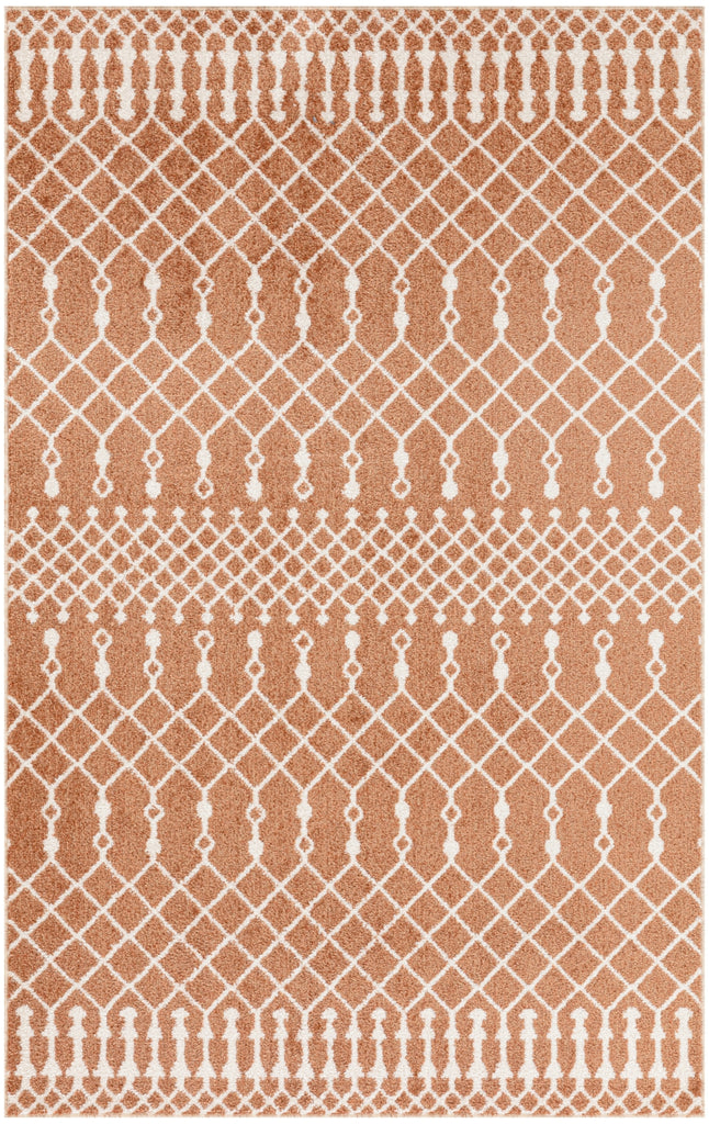 Nourison Astra Machine Washable ASW10 Copper Area Rug main image