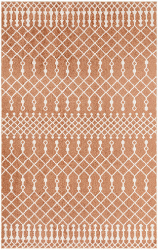 Nourison Astra Machine Washable ASW10 Copper Area Rug main image