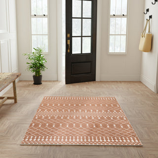 Nourison Astra Machine Washable ASW10 Copper Area Rug Room Image Feature