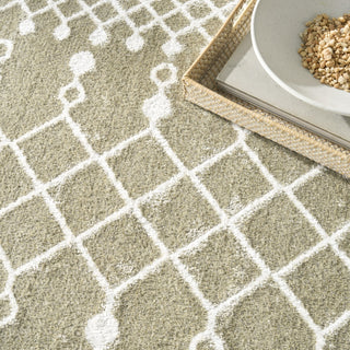Nourison Astra Machine Washable ASW10 Sage Area Rug Corner Image