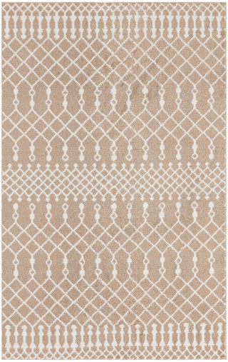 Nourison Astra Machine Washable ASW10 Taupe Area Rug main image