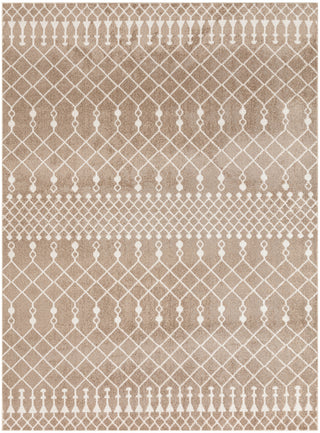 Nourison Astra Machine Washable ASW10 Taupe Area Rug Main Image