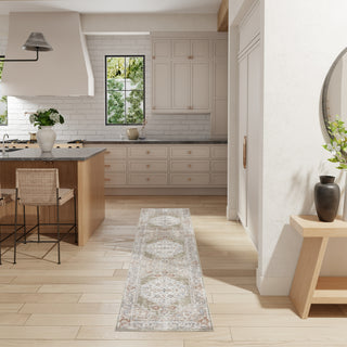 Nourison Astra Machine Washable ASW11 Sage Multi Area Rug Corner Image