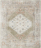 Nourison Astra Machine Washable ASW11 Sage Multi Area Rug Main Image