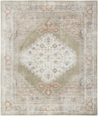 Nourison Astra Machine Washable ASW11 Sage Multi Area Rug Main Image