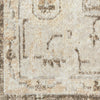 Nourison Astra Machine Washable ASW11 Beige Area Rug Swatch Image