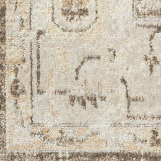 Nourison Astra Machine Washable ASW11 Beige Area Rug Swatch Image