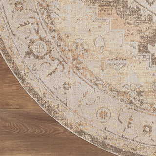 Nourison Astra Machine Washable ASW11 Beige Area Rug Detail Image
