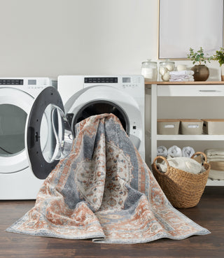Nourison Astra Machine Washable ASW11 Denim Multicolor Area Rug Room Image Feature