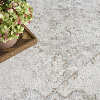 Nourison Astra Machine Washable ASW11 Grey Area Rug Texture Image