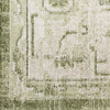 Nourison Astra Machine Washable ASW11 Ivory Green Area Rug Swatch Image