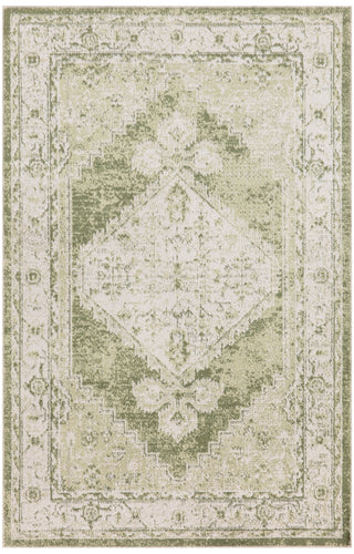 Nourison Astra Machine Washable ASW11 Ivory Green Area Rug Main Image