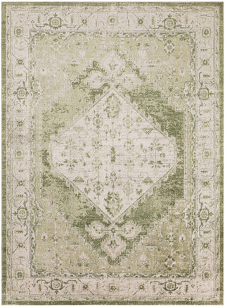 Nourison Astra Machine Washable ASW11 Ivory Green Area Rug Main Image