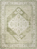 Nourison Astra Machine Washable ASW11 Ivory Green Area Rug Main Image
